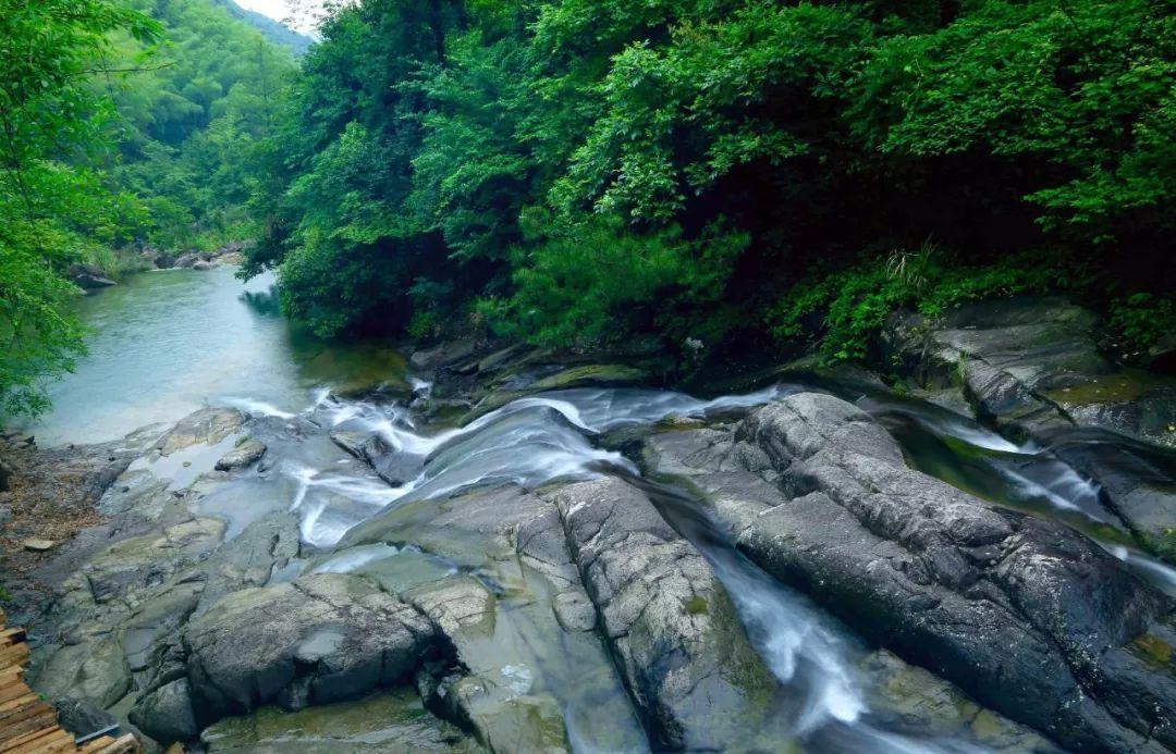 通讯|“龙圆丝路梦,福满地球村”——沙特孔子学院首次举办春节文化活动